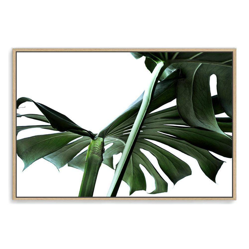 Monstera Leaves IIII-The Paper Tree-botanical,dark green,green,jungle,landscape,leaf,leaves,minimal,modern,monstera,premium art print,scandi,wall art,Wall_Art,Wall_Art_Prints