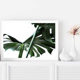 Monstera Leaves IIII-The Paper Tree-botanical,dark green,green,jungle,landscape,leaf,leaves,minimal,modern,monstera,premium art print,scandi,wall art,Wall_Art,Wall_Art_Prints