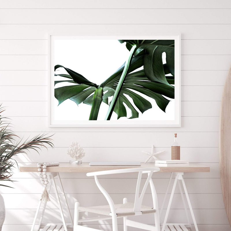 Monstera Leaves IIII-The Paper Tree-botanical,dark green,green,jungle,landscape,leaf,leaves,minimal,modern,monstera,premium art print,scandi,wall art,Wall_Art,Wall_Art_Prints