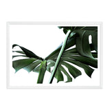 Monstera Leaves IIII-The Paper Tree-botanical,dark green,green,jungle,landscape,leaf,leaves,minimal,modern,monstera,premium art print,scandi,wall art,Wall_Art,Wall_Art_Prints