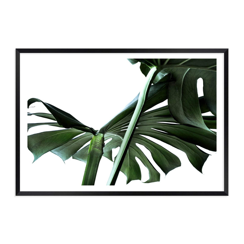 Monstera Leaves IIII-The Paper Tree-botanical,dark green,green,jungle,landscape,leaf,leaves,minimal,modern,monstera,premium art print,scandi,wall art,Wall_Art,Wall_Art_Prints