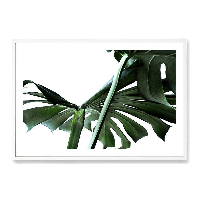 Monstera Leaves IIII-The Paper Tree-botanical,dark green,green,jungle,landscape,leaf,leaves,minimal,modern,monstera,premium art print,scandi,wall art,Wall_Art,Wall_Art_Prints