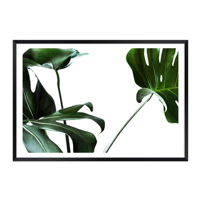 Monstera Leaves III-The Paper Tree-botanical,dark green,green,jungle,landscape,leaf,leaves,minimal,modern,monstera,premium art print,scandi,wall art,Wall_Art,Wall_Art_Prints