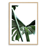 Monstera Leaves IIIII-The Paper Tree-botanical,dark green,green,jungle,leaf,leaves,minimal,modern,monstera,portrait,premium art print,scandi,wall art,Wall_Art,Wall_Art_Prints