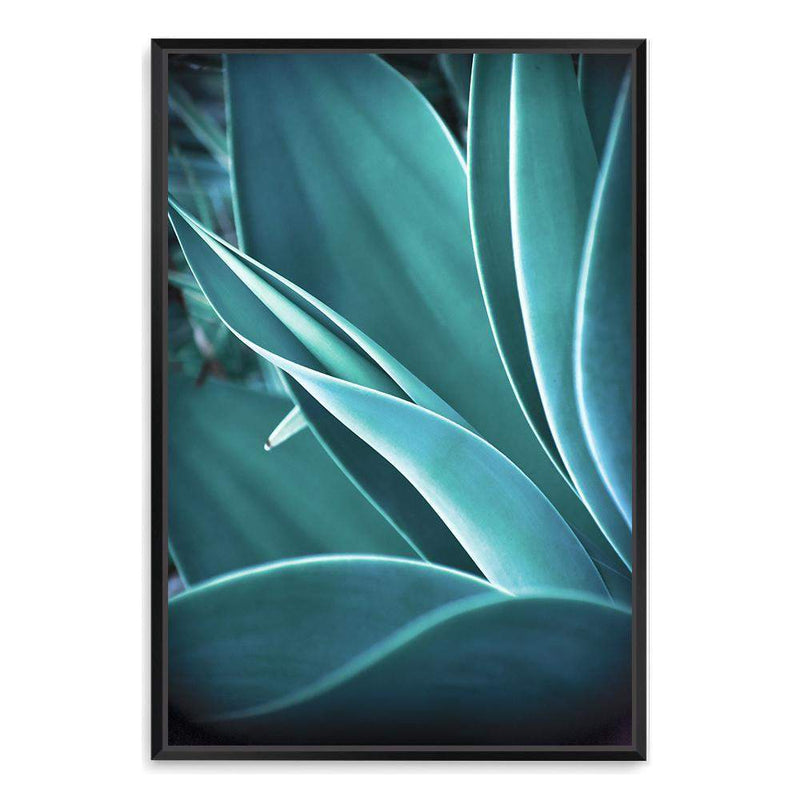 Teal Agave-The Paper Tree-blue,botanical,cacti,cactus,colourful,portrait,premium art print,spider,succulent,teal,vibrant,wall art,Wall_Art,Wall_Art_Prints,web