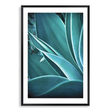 Teal Agave-The Paper Tree-blue,botanical,cacti,cactus,colourful,portrait,premium art print,spider,succulent,teal,vibrant,wall art,Wall_Art,Wall_Art_Prints,web