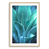 Teal Agave II-The Paper Tree-AGAVE,blue,botanical,cacti,cactus,colourful,portrait,premium art print,succulent,teal,vibrant,wall art,Wall_Art,Wall_Art_Prints