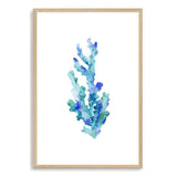 Blue Coral-The Paper Tree-Art_Prints,Artwork,BEACH,blue,blue coral,coastal,COASTAL ART,coral,Designer,HAMPTONS,portrait,premium art print,wall art,Wall_Art,Wall_Art_Prints