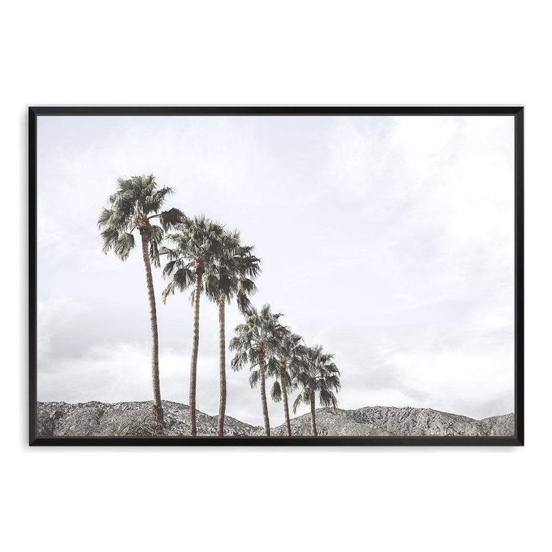 Californian Palms II-The Paper Tree-america,blue,blue sky,bohemian,boho,botanical,california,cloud,clouds,desert,horizon,landscape,palm,palm frond,palm springs,palm tree,premium art print,sky,tree,trees,usa,wall art,Wall_Art,Wall_Art_Prints