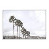 Californian Palms II-The Paper Tree-america,blue,blue sky,bohemian,boho,botanical,california,cloud,clouds,desert,horizon,landscape,palm,palm frond,palm springs,palm tree,premium art print,sky,tree,trees,usa,wall art,Wall_Art,Wall_Art_Prints