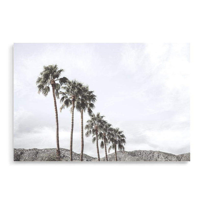 Californian Palms II-The Paper Tree-america,blue,blue sky,bohemian,boho,botanical,california,cloud,clouds,desert,horizon,landscape,palm,palm frond,palm springs,palm tree,premium art print,sky,tree,trees,usa,wall art,Wall_Art,Wall_Art_Prints