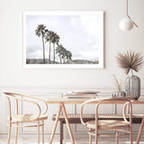 Californian Palms II-The Paper Tree-america,blue,blue sky,bohemian,boho,botanical,california,cloud,clouds,desert,horizon,landscape,palm,palm frond,palm springs,palm tree,premium art print,sky,tree,trees,usa,wall art,Wall_Art,Wall_Art_Prints