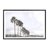 Californian Palms II-The Paper Tree-america,blue,blue sky,bohemian,boho,botanical,california,cloud,clouds,desert,horizon,landscape,palm,palm frond,palm springs,palm tree,premium art print,sky,tree,trees,usa,wall art,Wall_Art,Wall_Art_Prints