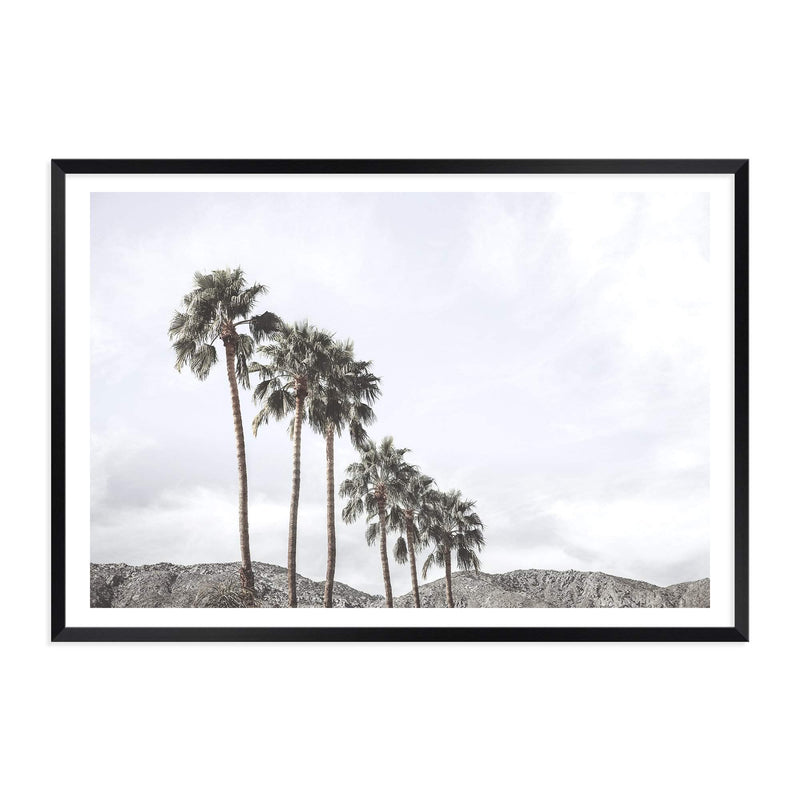 Californian Palms II-The Paper Tree-america,blue,blue sky,bohemian,boho,botanical,california,cloud,clouds,desert,horizon,landscape,palm,palm frond,palm springs,palm tree,premium art print,sky,tree,trees,usa,wall art,Wall_Art,Wall_Art_Prints