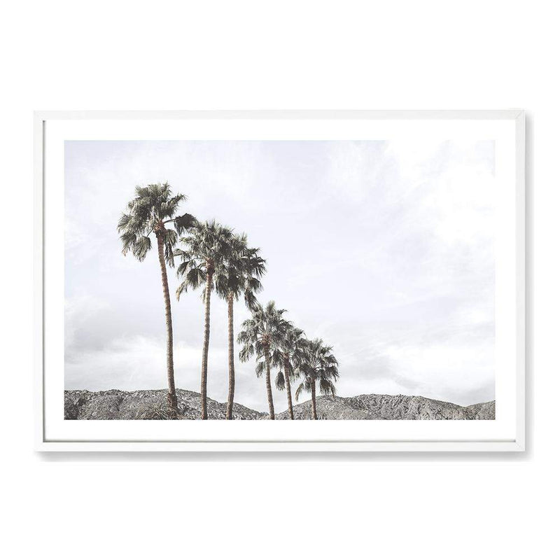 Californian Palms II-The Paper Tree-america,blue,blue sky,bohemian,boho,botanical,california,cloud,clouds,desert,horizon,landscape,palm,palm frond,palm springs,palm tree,premium art print,sky,tree,trees,usa,wall art,Wall_Art,Wall_Art_Prints