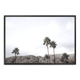 Californian Palms-The Paper Tree-america,blue,blue sky,bohemian,boho,botanical,california,cloud,clouds,desert,horizon,landscape,palm,palm frond,palm springs,palm tree,premium art print,sky,tree,trees,usa,wall art,Wall_Art,Wall_Art_Prints