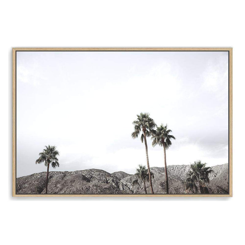 Californian Palms-The Paper Tree-america,blue,blue sky,bohemian,boho,botanical,california,cloud,clouds,desert,horizon,landscape,palm,palm frond,palm springs,palm tree,premium art print,sky,tree,trees,usa,wall art,Wall_Art,Wall_Art_Prints