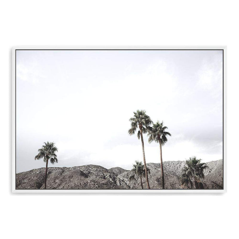 Californian Palms-The Paper Tree-america,blue,blue sky,bohemian,boho,botanical,california,cloud,clouds,desert,horizon,landscape,palm,palm frond,palm springs,palm tree,premium art print,sky,tree,trees,usa,wall art,Wall_Art,Wall_Art_Prints