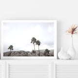 Californian Palms-The Paper Tree-america,blue,blue sky,bohemian,boho,botanical,california,cloud,clouds,desert,horizon,landscape,palm,palm frond,palm springs,palm tree,premium art print,sky,tree,trees,usa,wall art,Wall_Art,Wall_Art_Prints