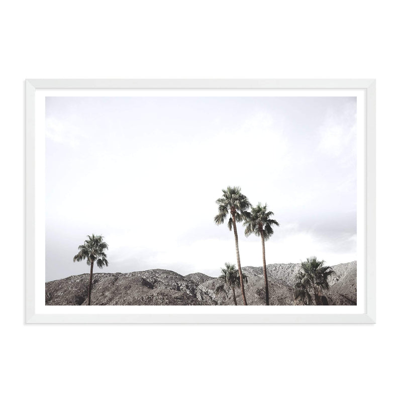 Californian Palms-The Paper Tree-america,blue,blue sky,bohemian,boho,botanical,california,cloud,clouds,desert,horizon,landscape,palm,palm frond,palm springs,palm tree,premium art print,sky,tree,trees,usa,wall art,Wall_Art,Wall_Art_Prints