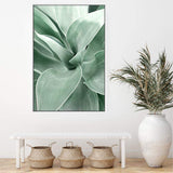 Agave-The Paper Tree-agave,botanical,cacti,cactus,colourful,green,leaf,muted tone,portrait,premium art print,succulent,wall art,Wall_Art,Wall_Art_Prints,web