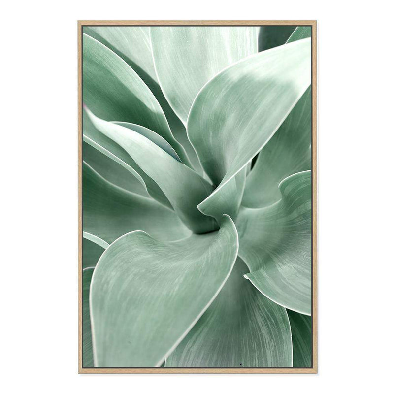 Agave-The Paper Tree-agave,botanical,cacti,cactus,colourful,green,leaf,muted tone,portrait,premium art print,succulent,wall art,Wall_Art,Wall_Art_Prints,web