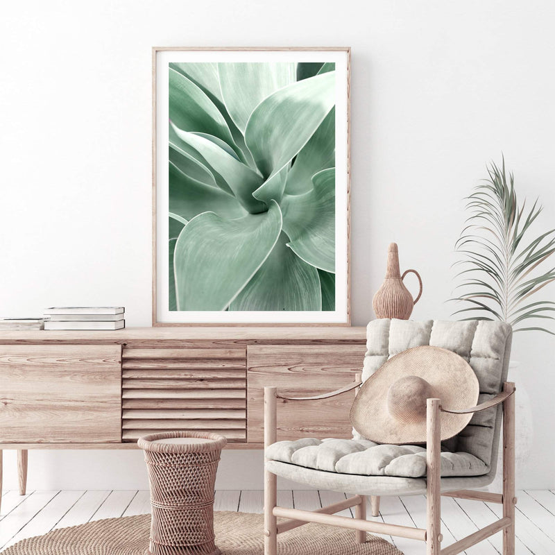 Agave-The Paper Tree-agave,botanical,cacti,cactus,colourful,green,leaf,muted tone,portrait,premium art print,succulent,wall art,Wall_Art,Wall_Art_Prints,web