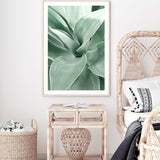 Agave-The Paper Tree-agave,botanical,cacti,cactus,colourful,green,leaf,muted tone,portrait,premium art print,succulent,wall art,Wall_Art,Wall_Art_Prints,web