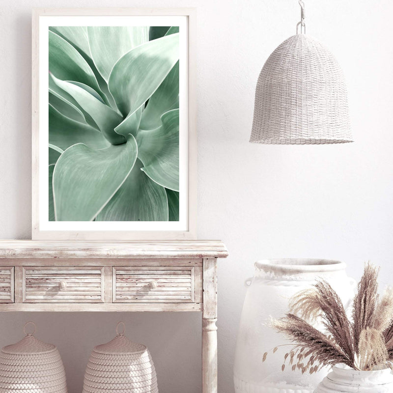 Agave-The Paper Tree-agave,botanical,cacti,cactus,colourful,green,leaf,muted tone,portrait,premium art print,succulent,wall art,Wall_Art,Wall_Art_Prints,web