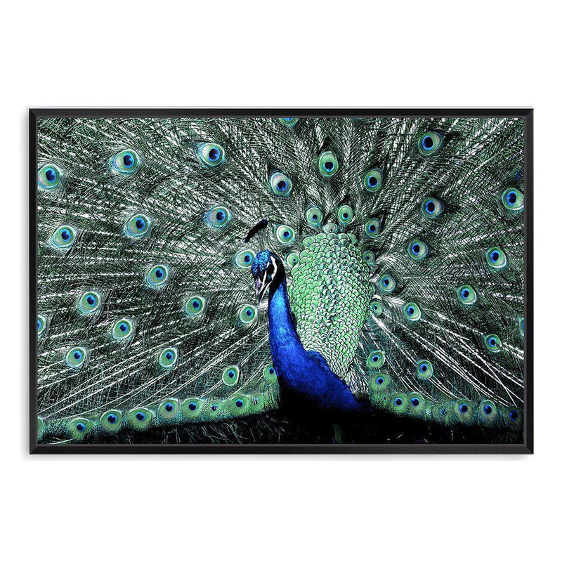 Percy The Peacock II-The Paper Tree-Abstract,animal,Artwork,BIRD,blue,feathers,green,landscape,PEACOCK,premium art print,teal,wall art,Wall_Art,Wall_Art_Prints