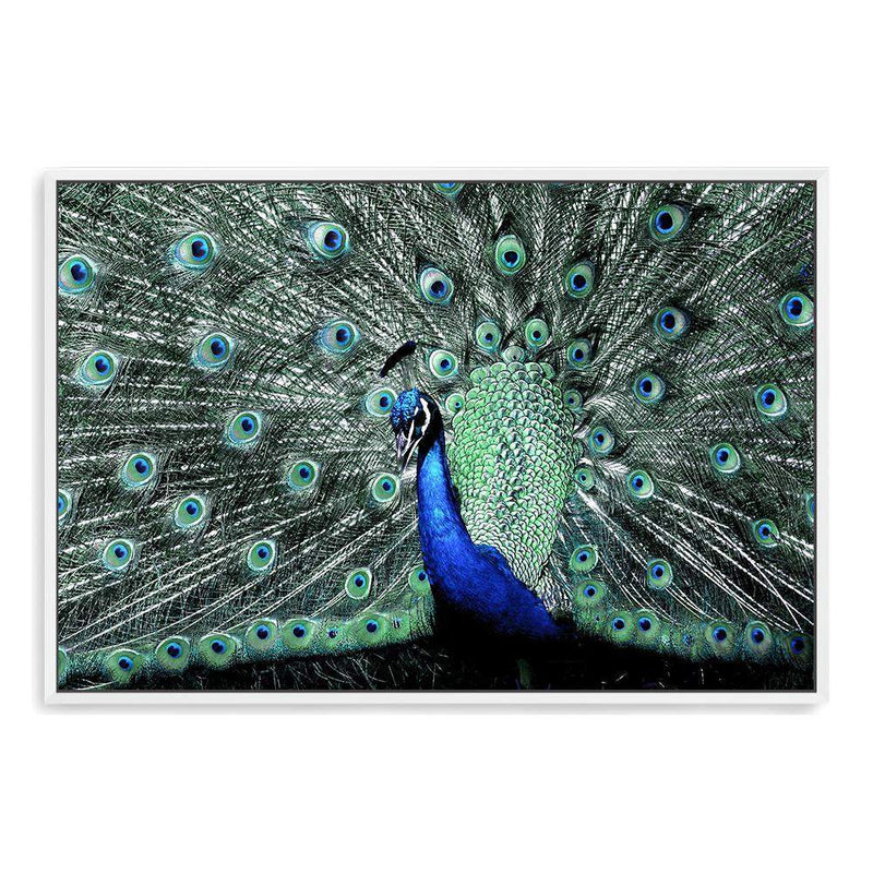 Percy The Peacock II-The Paper Tree-Abstract,animal,Artwork,BIRD,blue,feathers,green,landscape,PEACOCK,premium art print,teal,wall art,Wall_Art,Wall_Art_Prints