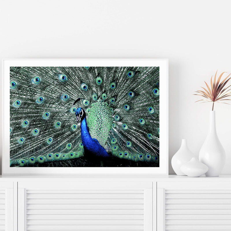 Percy The Peacock II-The Paper Tree-Abstract,animal,Artwork,BIRD,blue,feathers,green,landscape,PEACOCK,premium art print,teal,wall art,Wall_Art,Wall_Art_Prints