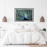 Percy The Peacock II-The Paper Tree-Abstract,animal,Artwork,BIRD,blue,feathers,green,landscape,PEACOCK,premium art print,teal,wall art,Wall_Art,Wall_Art_Prints