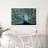 Percy The Peacock II-The Paper Tree-Abstract,animal,Artwork,BIRD,blue,feathers,green,landscape,PEACOCK,premium art print,teal,wall art,Wall_Art,Wall_Art_Prints