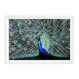 Percy The Peacock II-The Paper Tree-Abstract,animal,Artwork,BIRD,blue,feathers,green,landscape,PEACOCK,premium art print,teal,wall art,Wall_Art,Wall_Art_Prints