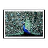 Percy The Peacock II-The Paper Tree-Abstract,animal,Artwork,BIRD,blue,feathers,green,landscape,PEACOCK,premium art print,teal,wall art,Wall_Art,Wall_Art_Prints