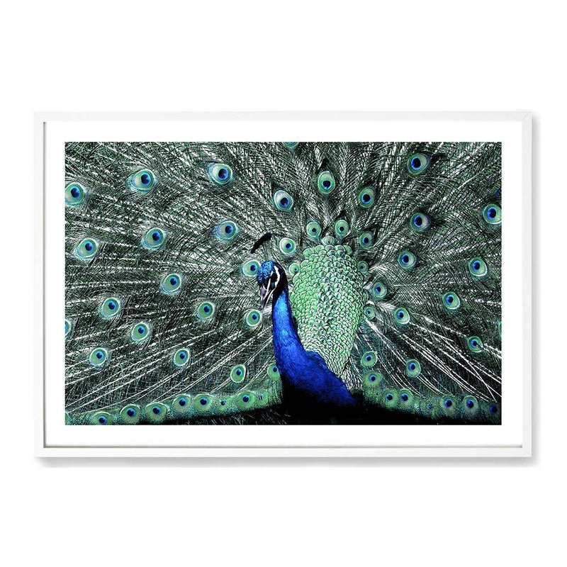 Percy The Peacock II-The Paper Tree-Abstract,animal,Artwork,BIRD,blue,feathers,green,landscape,PEACOCK,premium art print,teal,wall art,Wall_Art,Wall_Art_Prints