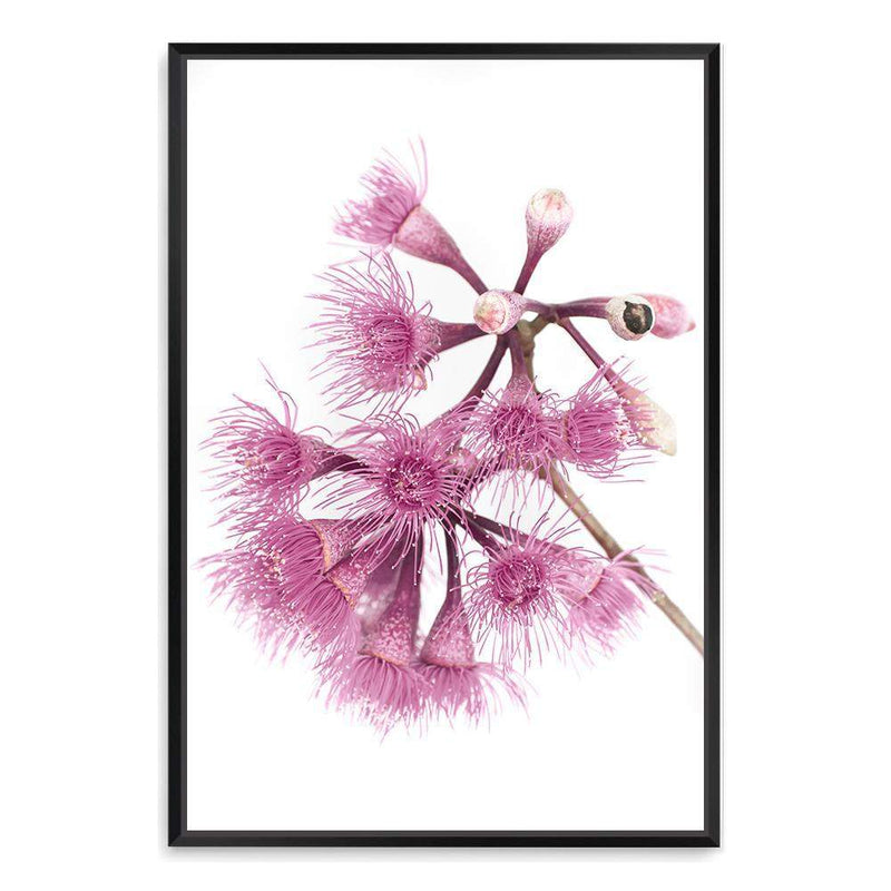 Native Gum Wildflower III-The Paper Tree-australian native,floral,flower,flowers,gum leaves,gum tree,native flowers,portrait,premium art print,purple,wall art,Wall_Art,Wall_Art_Prints,wild flowers