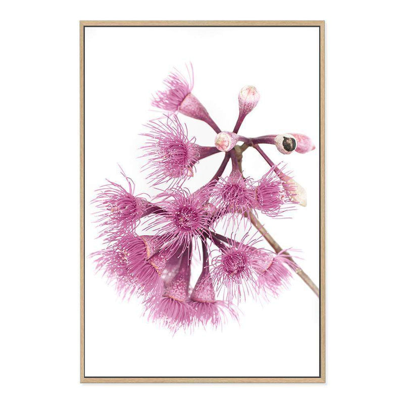 Native Gum Wildflower III-The Paper Tree-australian native,floral,flower,flowers,gum leaves,gum tree,native flowers,portrait,premium art print,purple,wall art,Wall_Art,Wall_Art_Prints,wild flowers