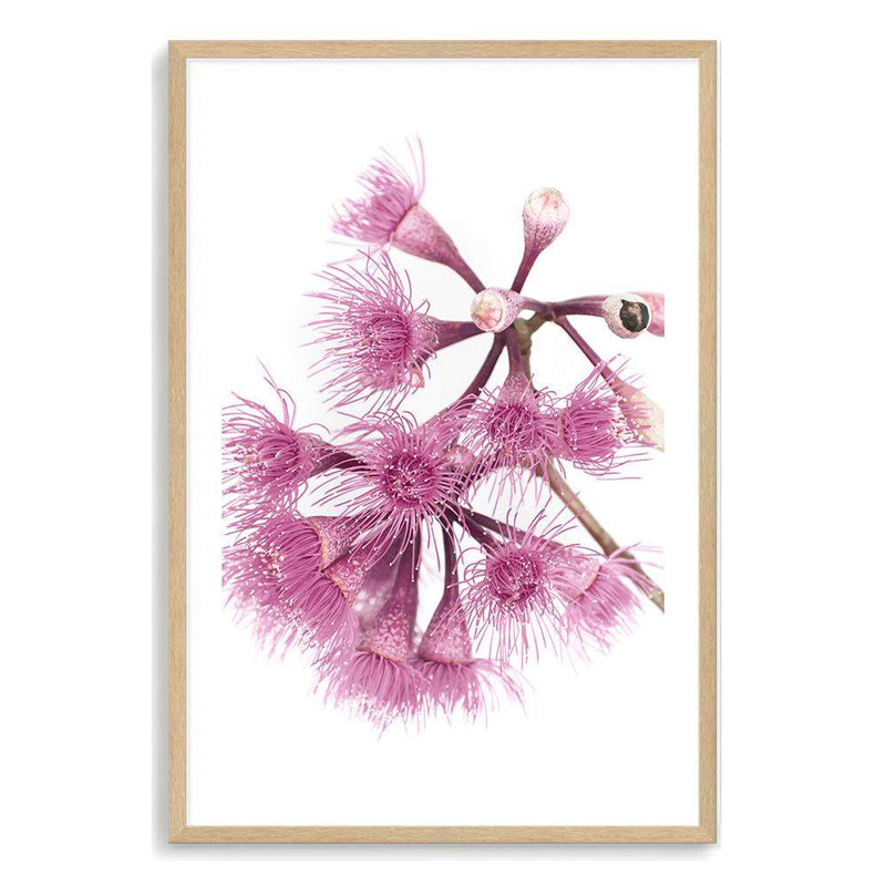 Native Gum Wildflower III-The Paper Tree-australian native,floral,flower,flowers,gum leaves,gum tree,native flowers,portrait,premium art print,purple,wall art,Wall_Art,Wall_Art_Prints,wild flowers