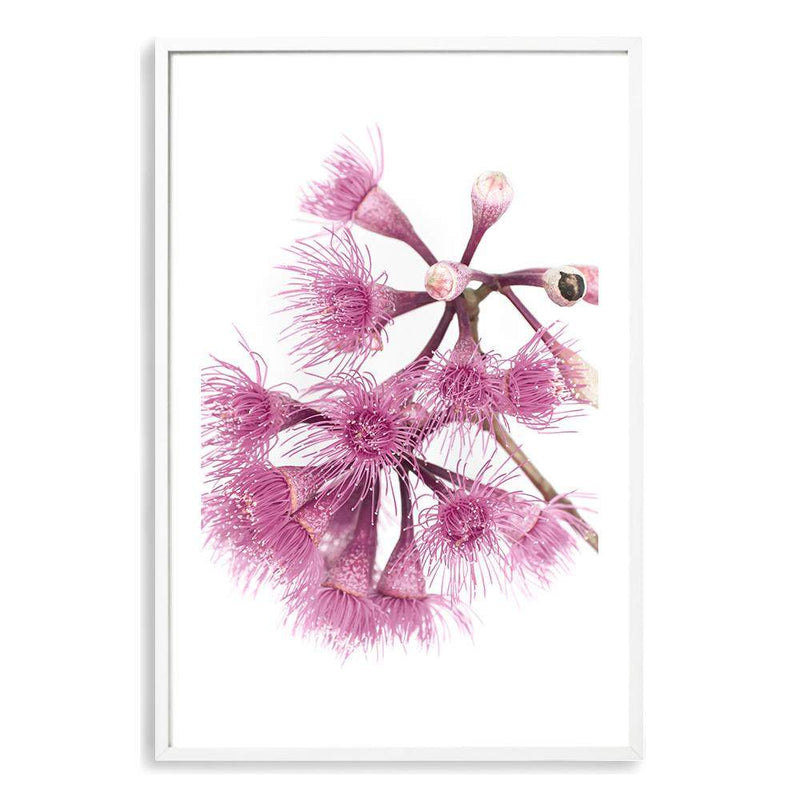 Native Gum Wildflower III-The Paper Tree-australian native,floral,flower,flowers,gum leaves,gum tree,native flowers,portrait,premium art print,purple,wall art,Wall_Art,Wall_Art_Prints,wild flowers