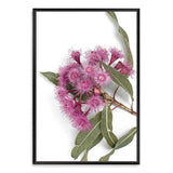 Native Gum Wildflower-The Paper Tree-australian native,floral,flower,flowers,gum leaves,gum tree,native flowers,portrait,premium art print,purple,wall art,Wall_Art,Wall_Art_Prints,wild flowers