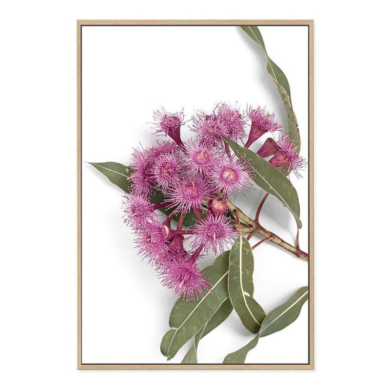 Native Gum Wildflower-The Paper Tree-australian native,floral,flower,flowers,gum leaves,gum tree,native flowers,portrait,premium art print,purple,wall art,Wall_Art,Wall_Art_Prints,wild flowers