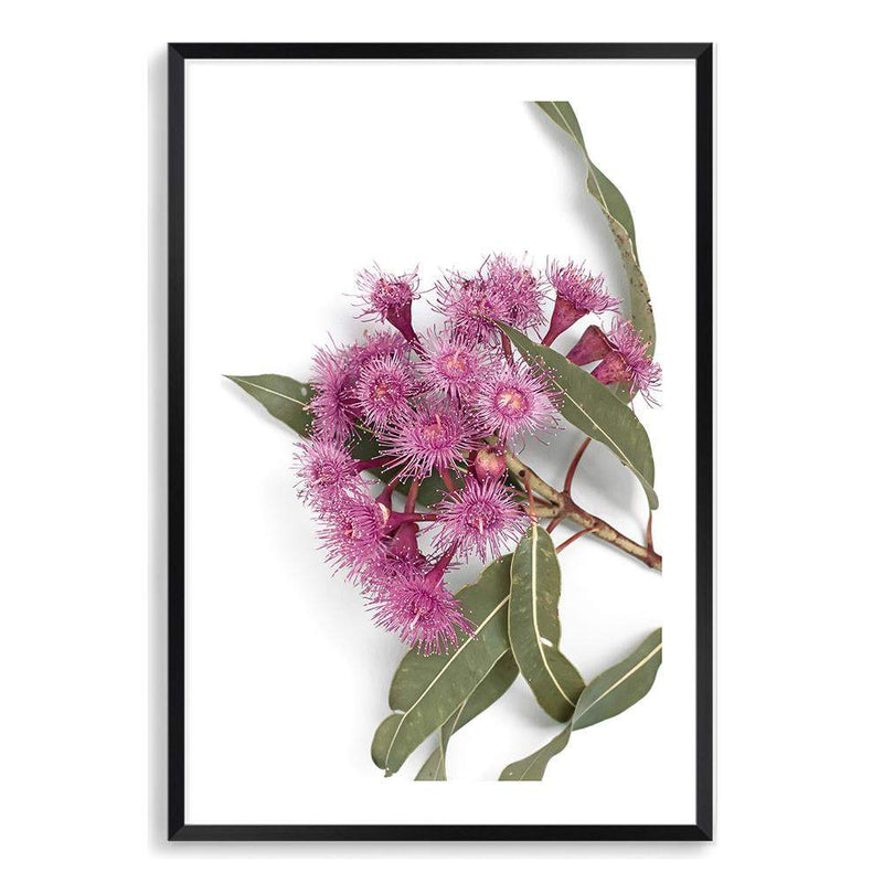 Native Gum Wildflower-The Paper Tree-australian native,floral,flower,flowers,gum leaves,gum tree,native flowers,portrait,premium art print,purple,wall art,Wall_Art,Wall_Art_Prints,wild flowers