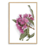 Native Gum Wildflower-The Paper Tree-australian native,floral,flower,flowers,gum leaves,gum tree,native flowers,portrait,premium art print,purple,wall art,Wall_Art,Wall_Art_Prints,wild flowers