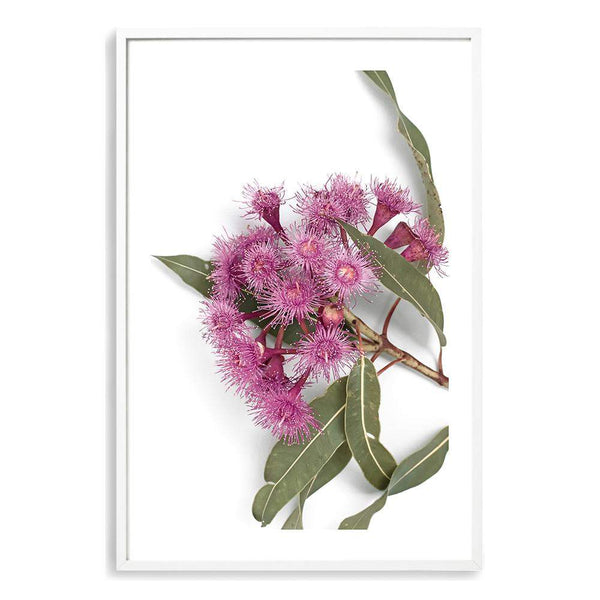 Native Gum Wildflower-The Paper Tree-australian native,floral,flower,flowers,gum leaves,gum tree,native flowers,portrait,premium art print,purple,wall art,Wall_Art,Wall_Art_Prints,wild flowers