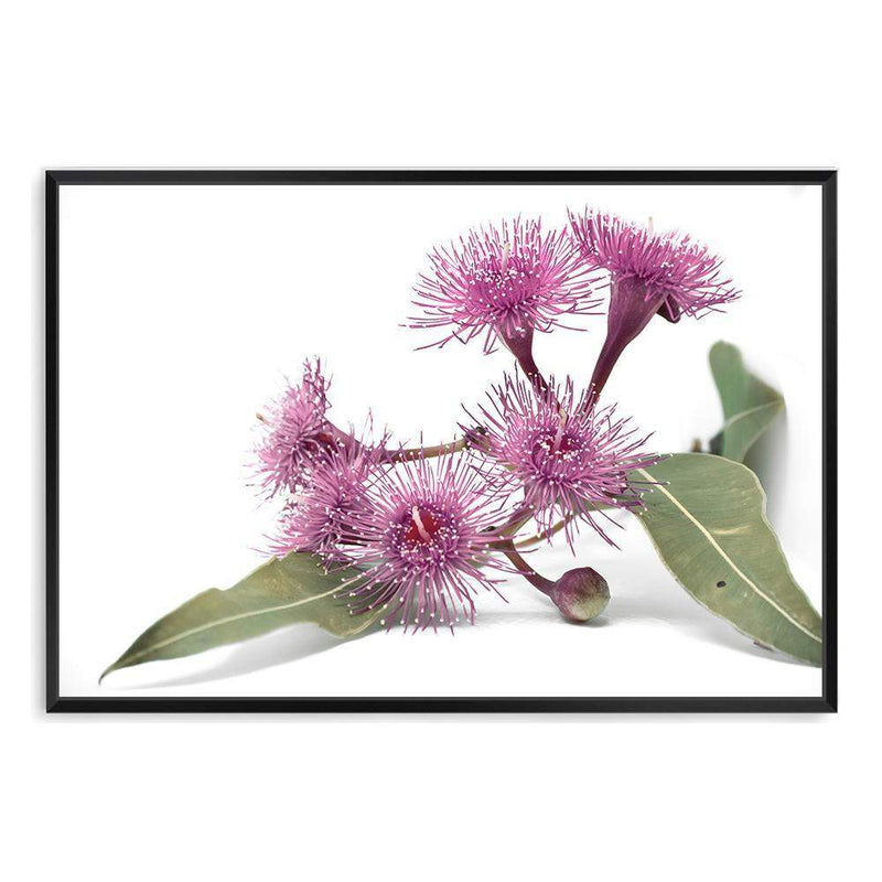 Native Gum Wildflower II-The Paper Tree-australian native,floral,flower,flowers,gum leaves,gum tree,native flowers,portrait,premium art print,purple,wall art,Wall_Art,Wall_Art_Prints,wild flowers