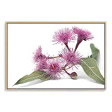 Native Gum Wildflower II-The Paper Tree-australian native,floral,flower,flowers,gum leaves,gum tree,native flowers,portrait,premium art print,purple,wall art,Wall_Art,Wall_Art_Prints,wild flowers