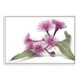 Native Gum Wildflower II-The Paper Tree-australian native,floral,flower,flowers,gum leaves,gum tree,native flowers,portrait,premium art print,purple,wall art,Wall_Art,Wall_Art_Prints,wild flowers