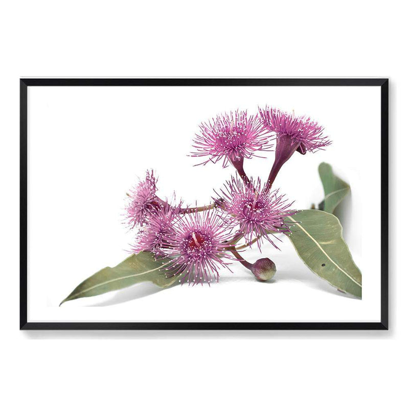 Native Gum Wildflower II-The Paper Tree-australian native,floral,flower,flowers,gum leaves,gum tree,native flowers,portrait,premium art print,purple,wall art,Wall_Art,Wall_Art_Prints,wild flowers